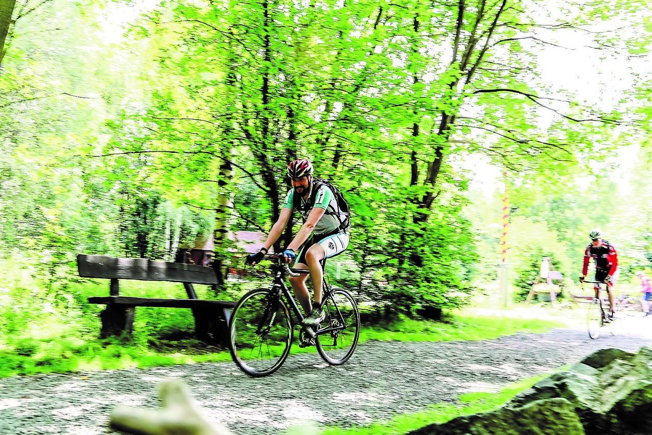 Parkhotel Bad Harzburg Exteriér fotografie